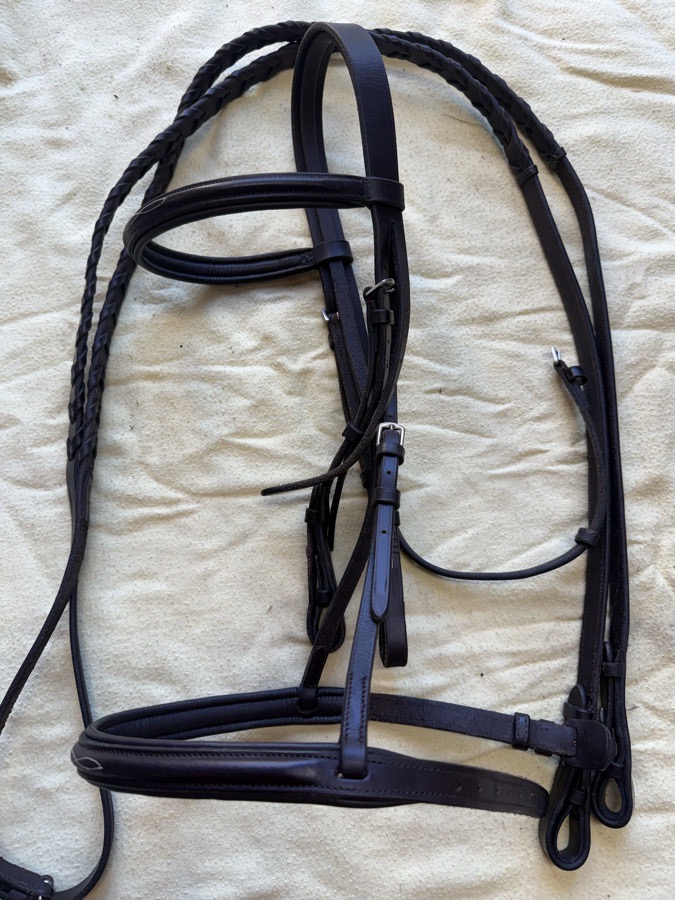 camelot cob fancy stitch bridle and reins