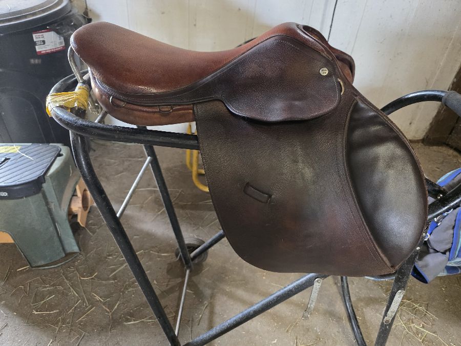 BEVAL | 16.5" | 5" Tree Size