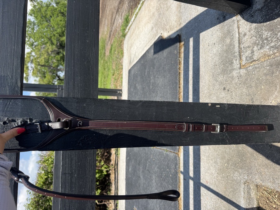 Dy’on Yoke with Standing Martingale attachment 