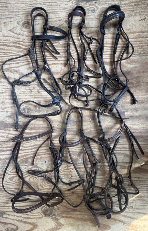 lot of schooling bridles