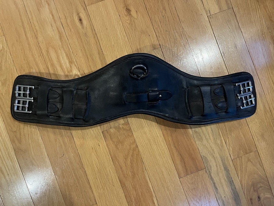 26” Antares Altaïr Anatomical Short Girth