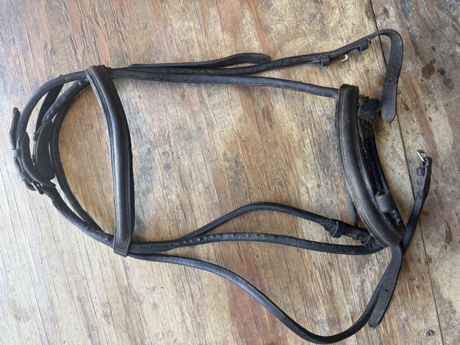 Black rolled bridle