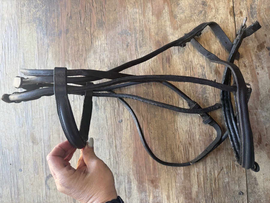 Black rolled bridle