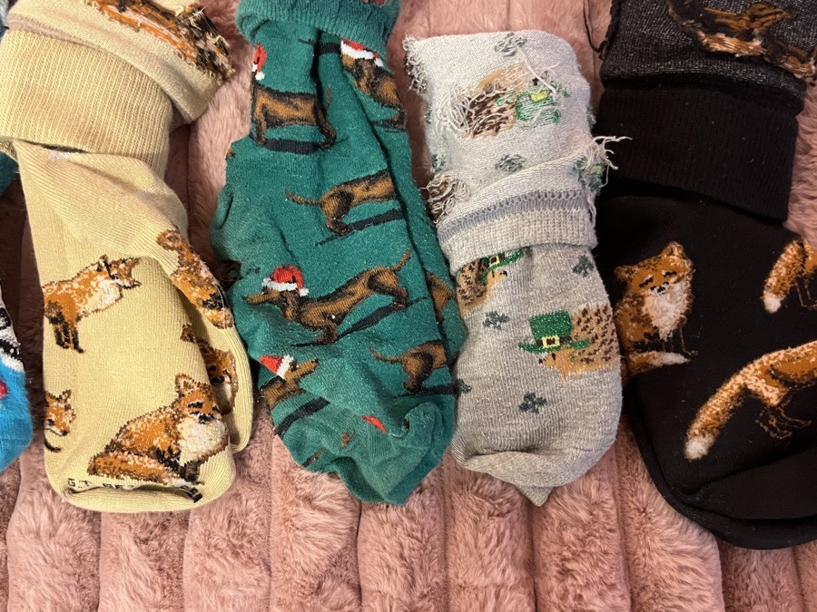 Festive ankle socks bundle