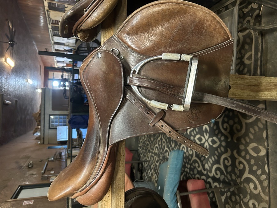 PESSOA | 17" | 4.5" Tree Size