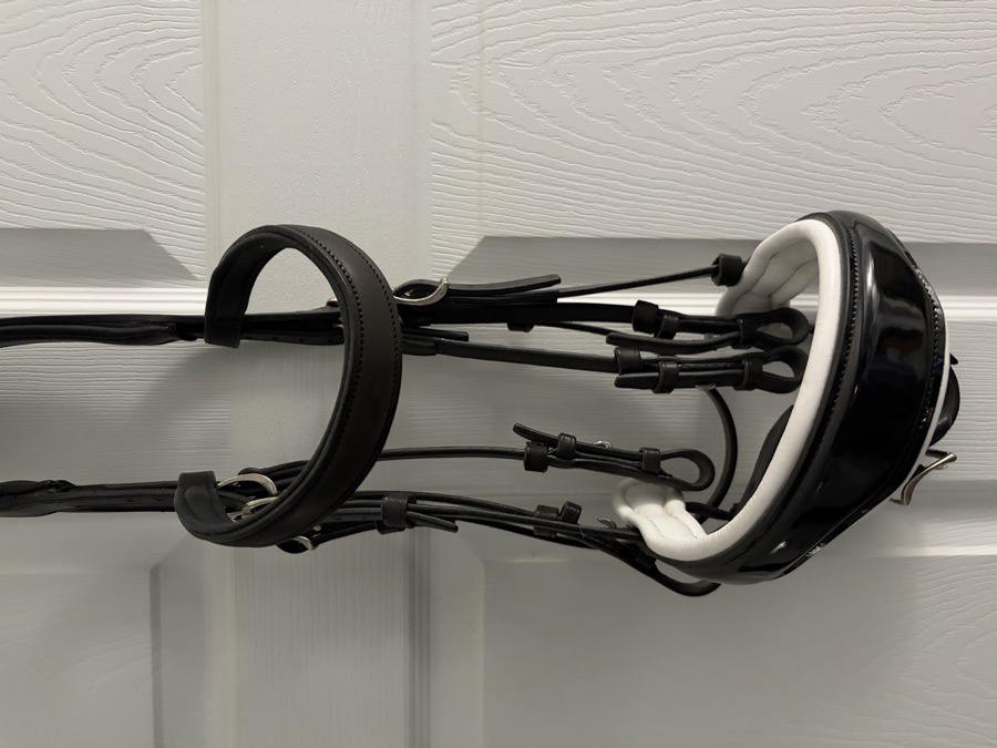 ANTARES dbl Bridle Horse