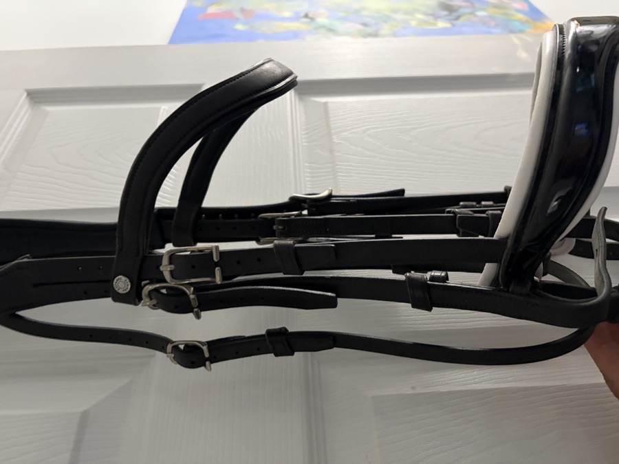 ANTARES dbl Bridle Horse