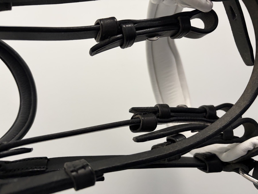 ANTARES dbl Bridle Horse