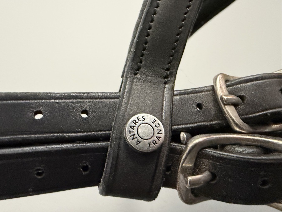 ANTARES dbl Bridle Horse