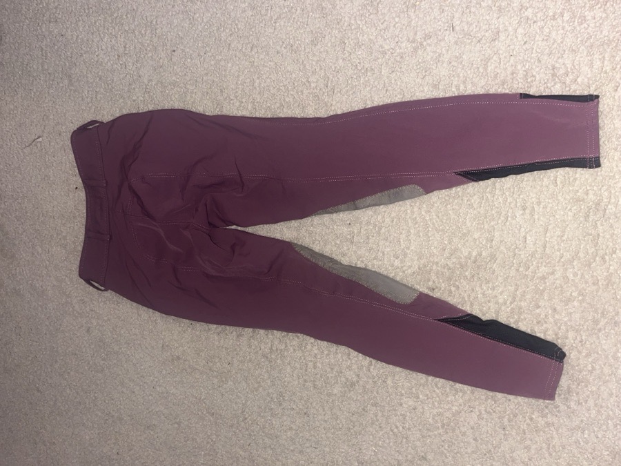 R.J. classic Breeches 