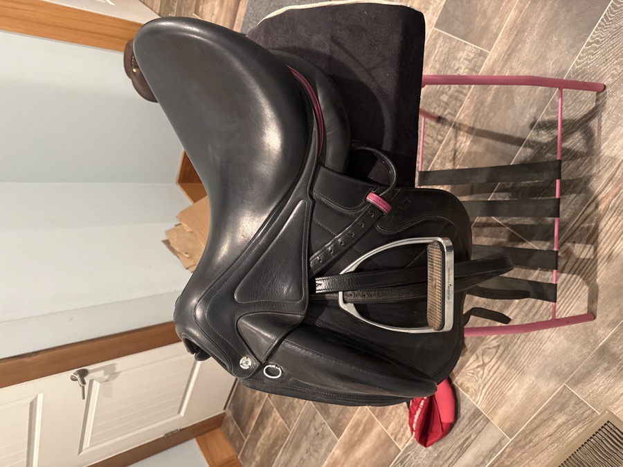 CWD | 18.5" | 4.75" Tree Size | 2022