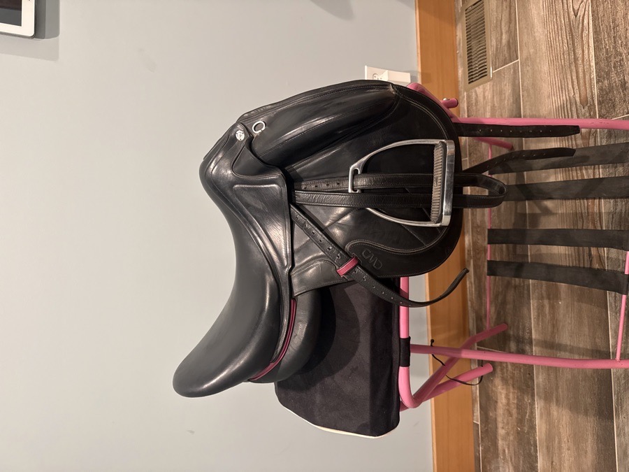 CWD | 18.5" | 4.75" Tree Size | 2022