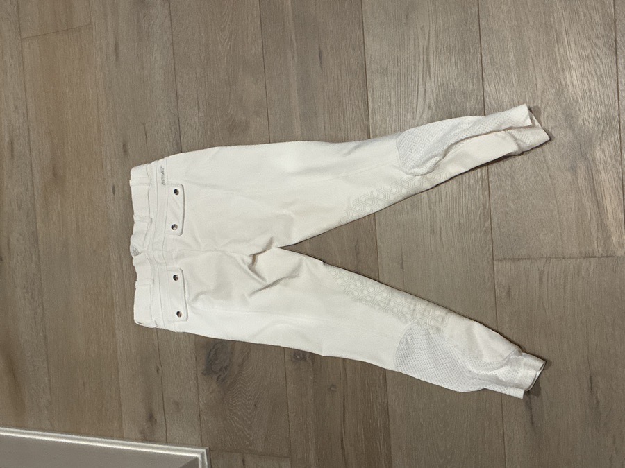 ARIAT Show Pants - Breeches