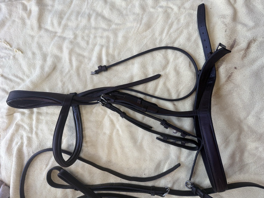 Aramas/Butet fancy stitch monocrown bridle and matching standing martingale