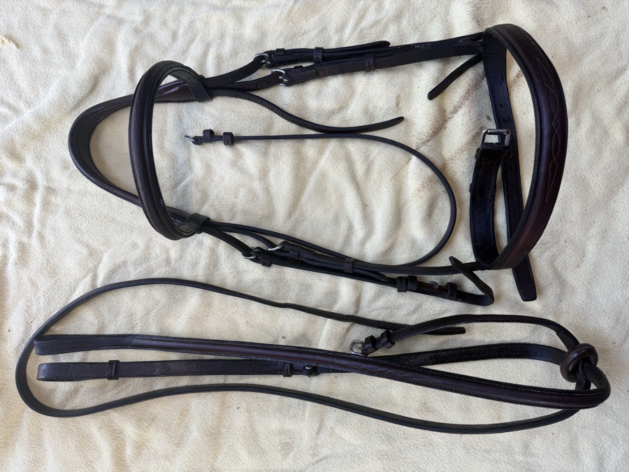 Aramas/Butet fancy stitch monocrown bridle and matching standing martingale