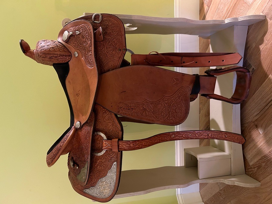 Circle Y Equitation Saddle 15.5” Reg Tree