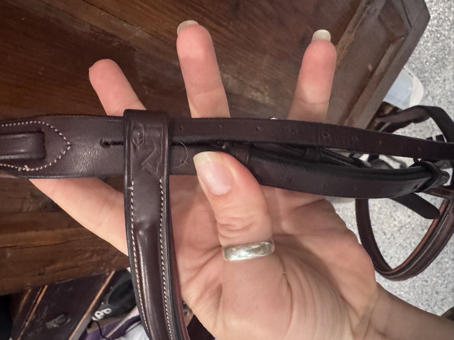 PRESTIGE Bridle Horse