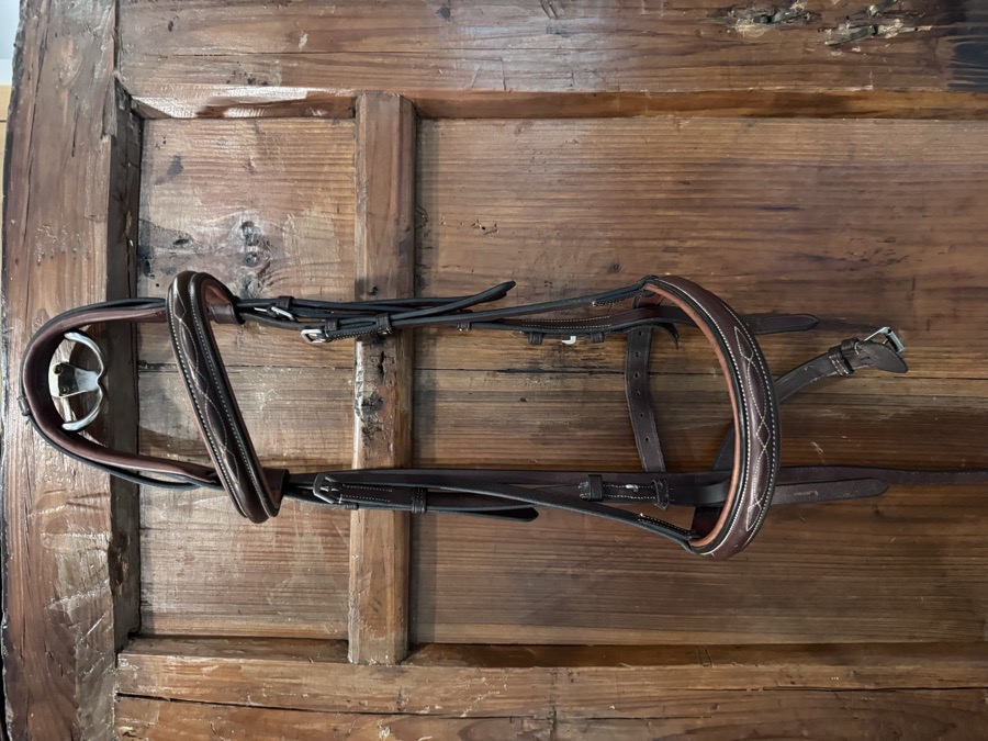 PRESTIGE Bridle Horse