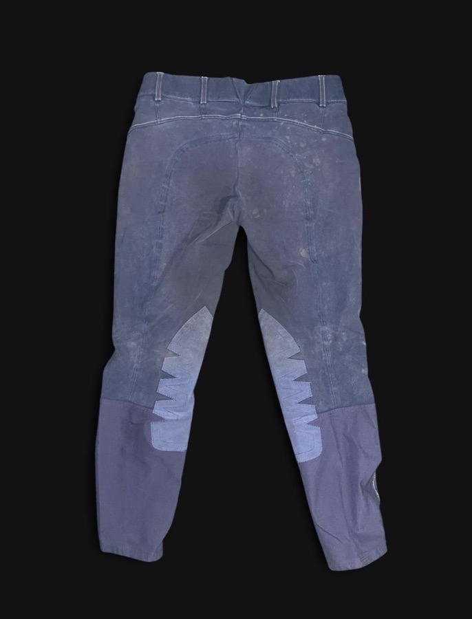 ARIAT Riding Pants - Breeches