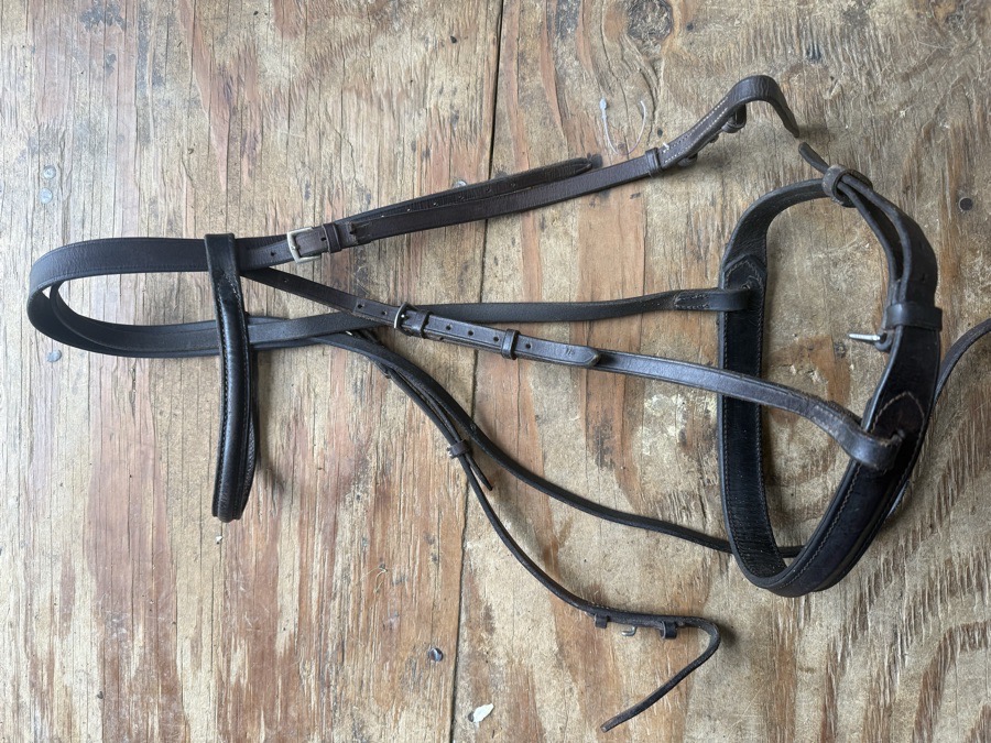 wide noseband bridle