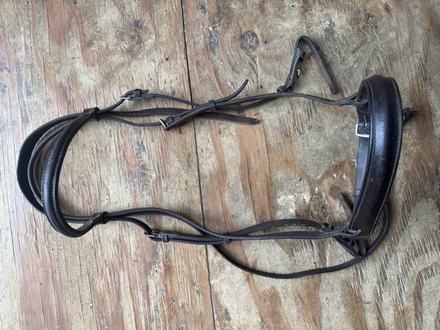 wide noseband bridle