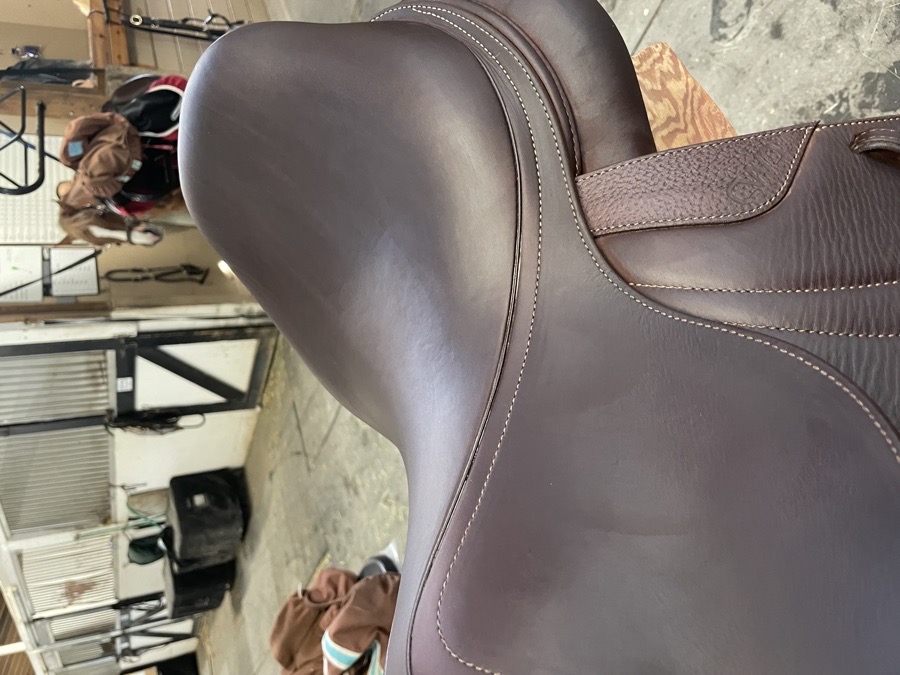 CWD 2023 Hunter jumper saddle