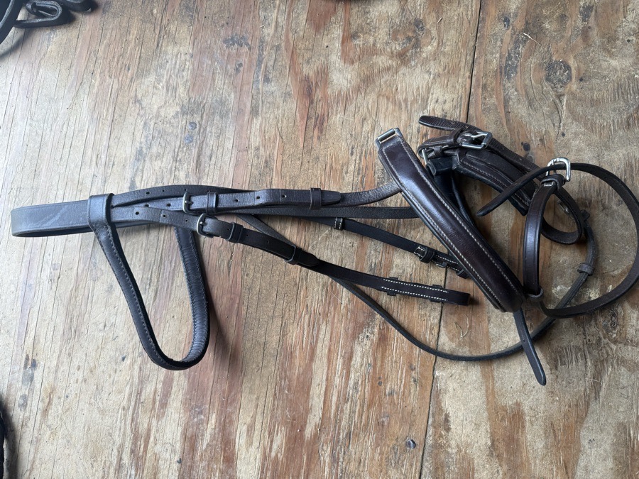 horse sized crank bridle