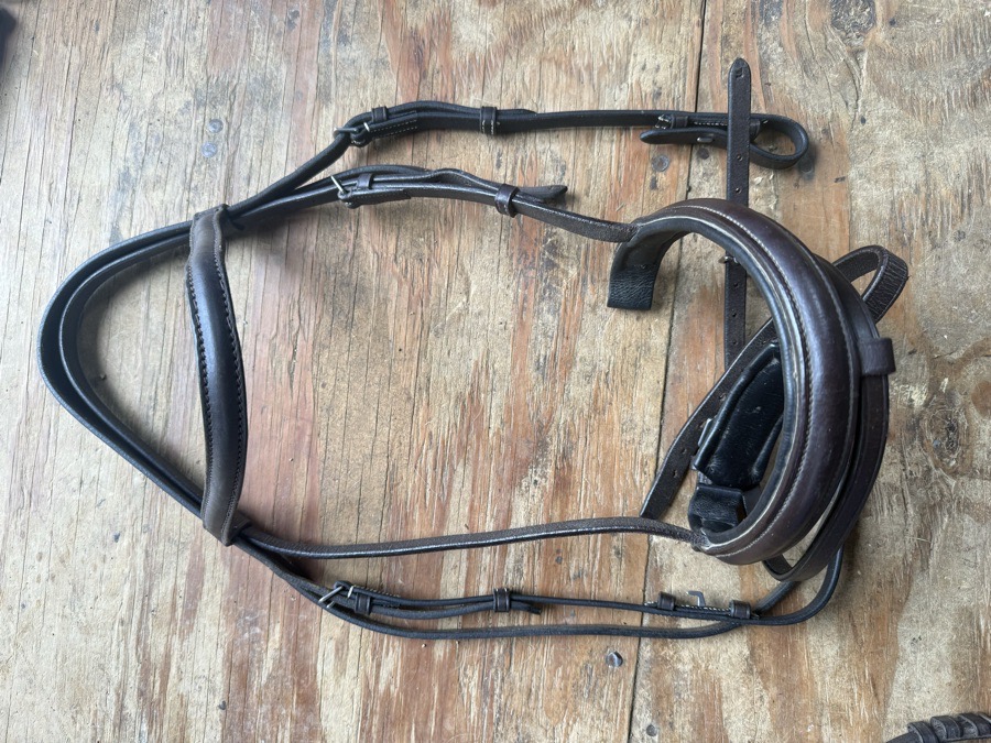 horse sized crank bridle