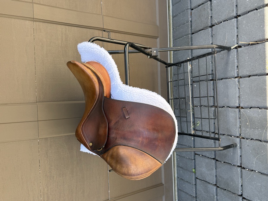 COLLEGIATE | 16.5" | 5" Tree Size