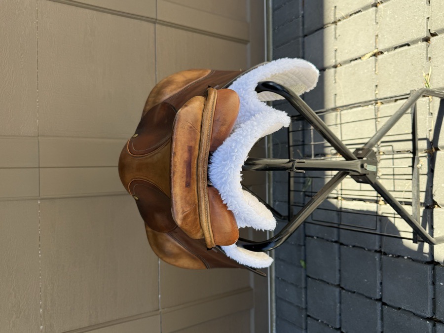 COLLEGIATE | 16.5" | 5" Tree Size