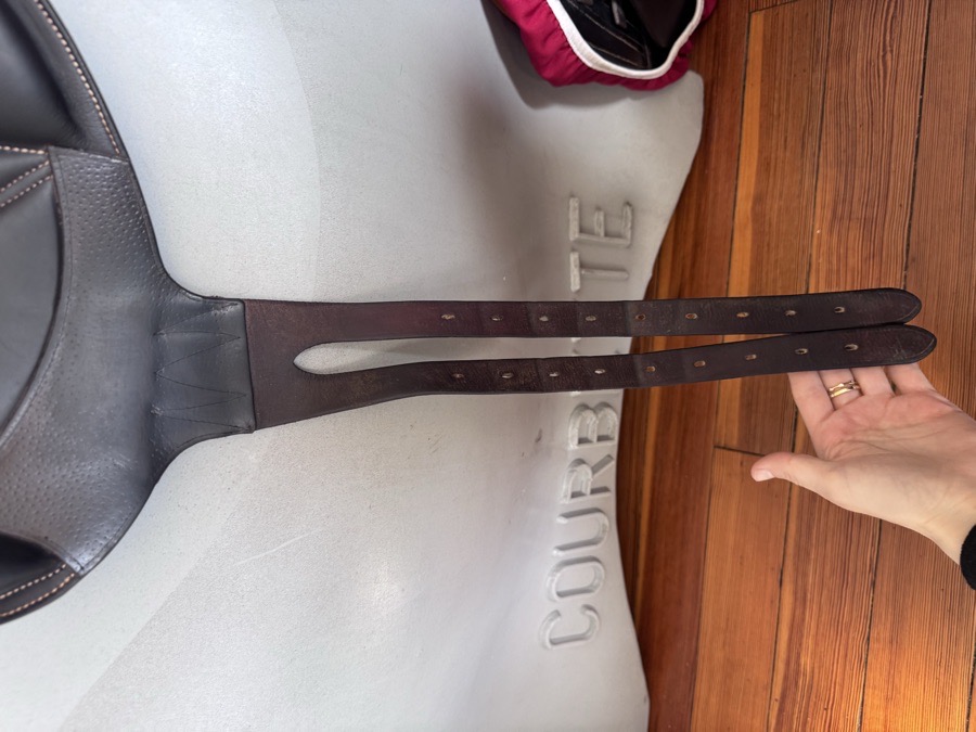16.5” 2021 Voltaire Lexington PRO Saddle - 0AA - Full Buffalo