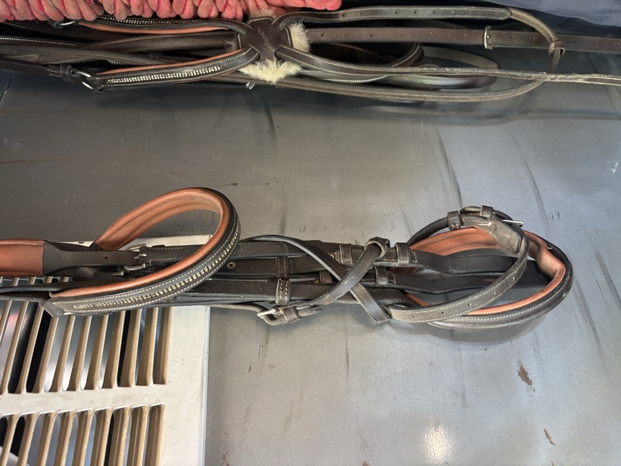 DOVER SADDLERY Bridle Horse