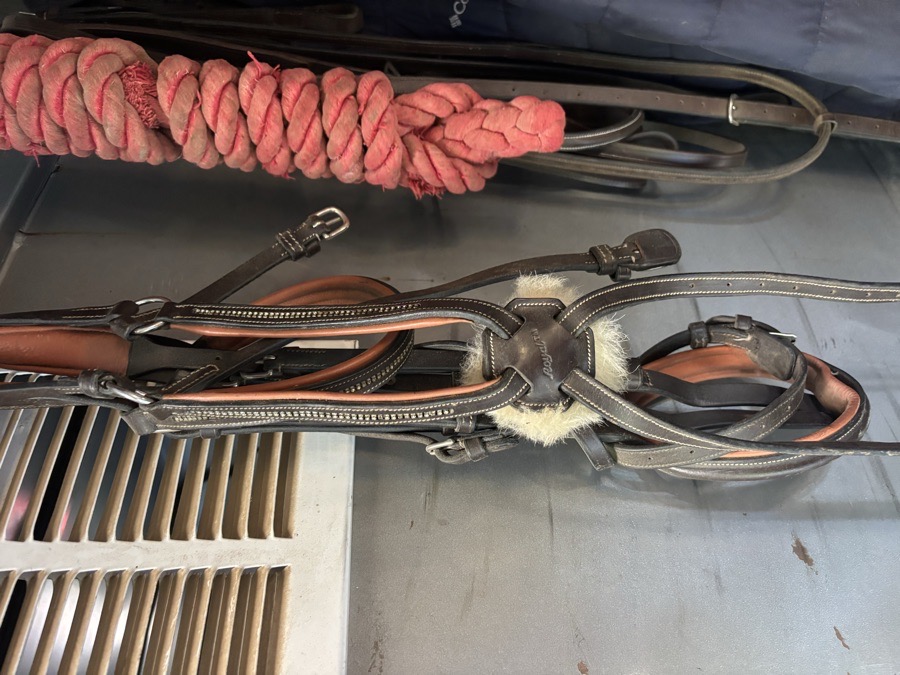 DOVER SADDLERY Bridle Horse
