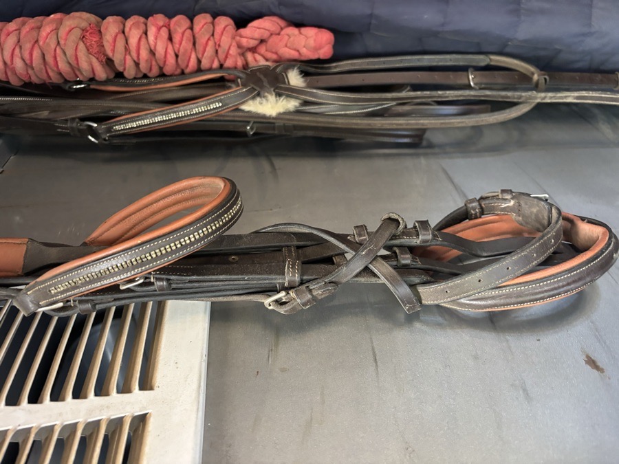 DOVER SADDLERY Bridle Horse