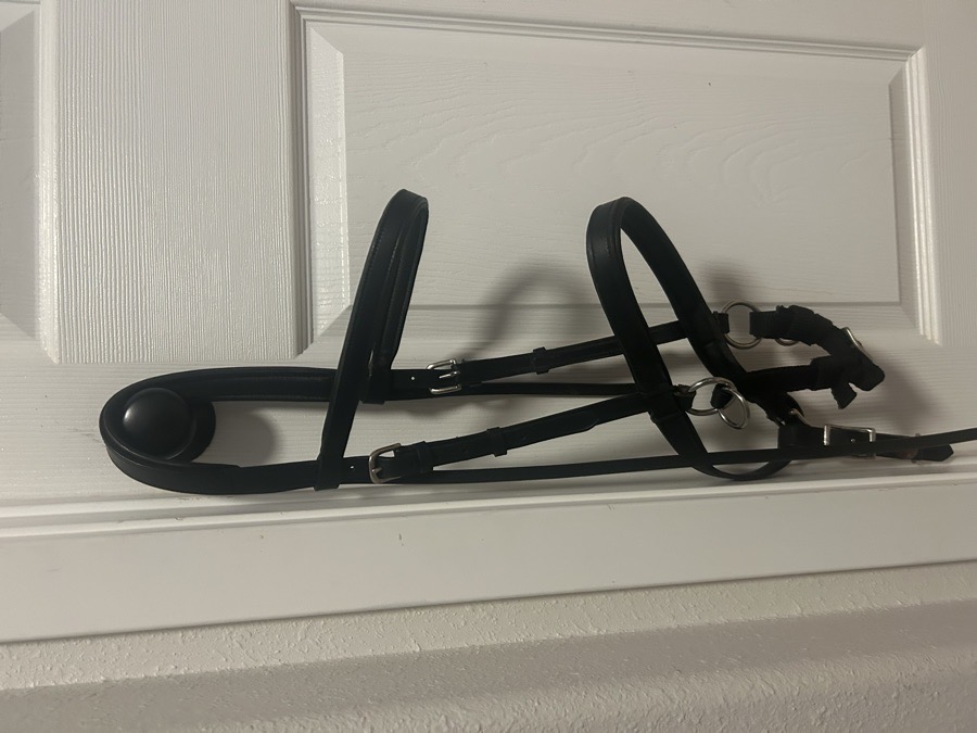 Lightrider Bitless Bridle 