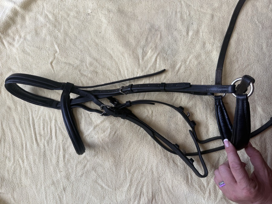 PASSIER drop noseband bridle
