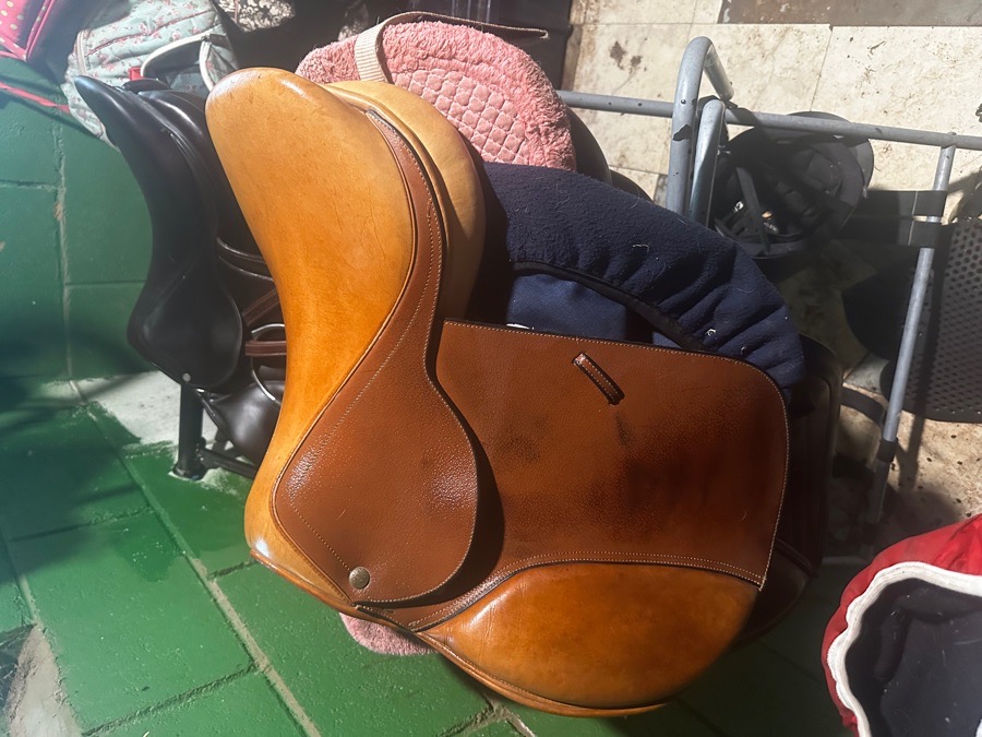 16” wide tree beval saddle