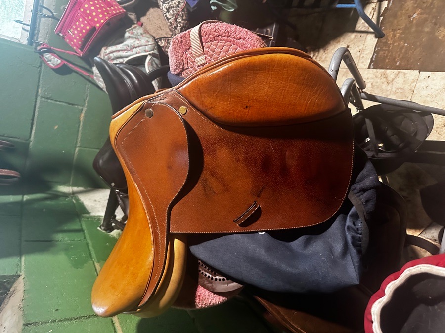 16” wide tree beval saddle