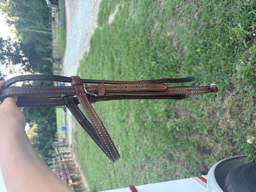 Brow band Circle Y and One ear Unmarked headstalls