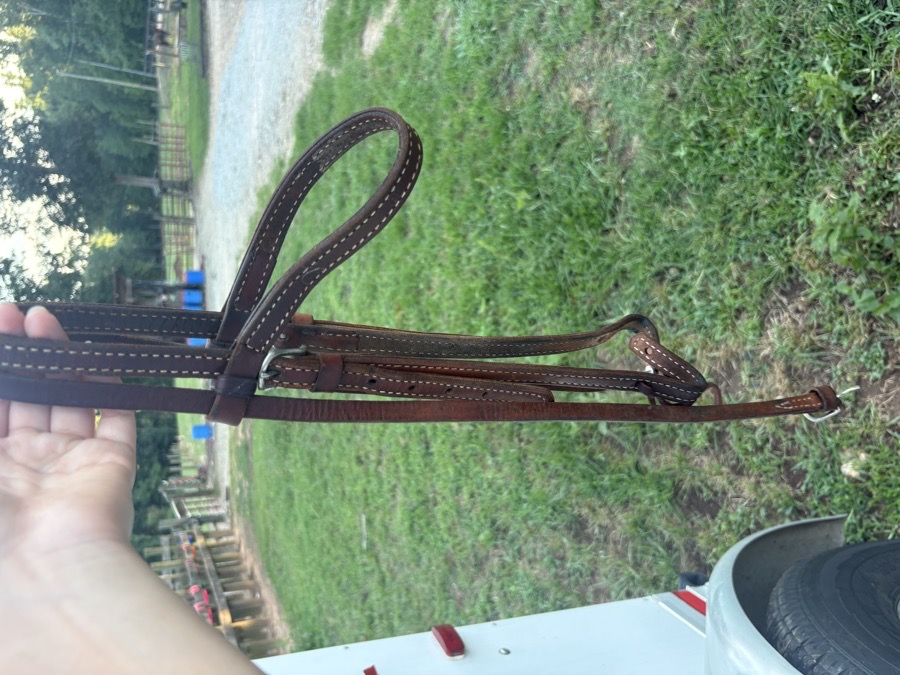 Brow band Circle Y and One ear Unmarked headstalls