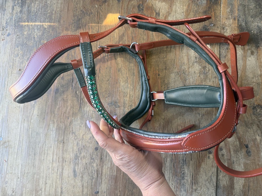 XF oversized anatomical bridle