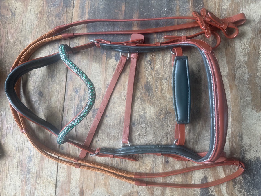 XF oversized anatomical bridle and reins 