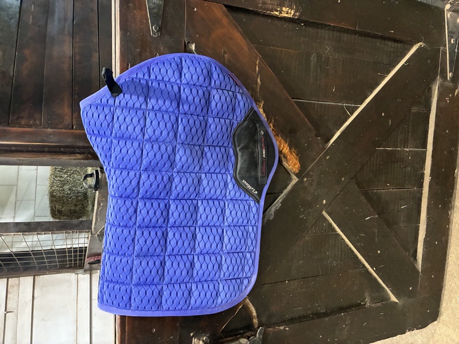 LEMIEUX CC carbon mesh saddle pad