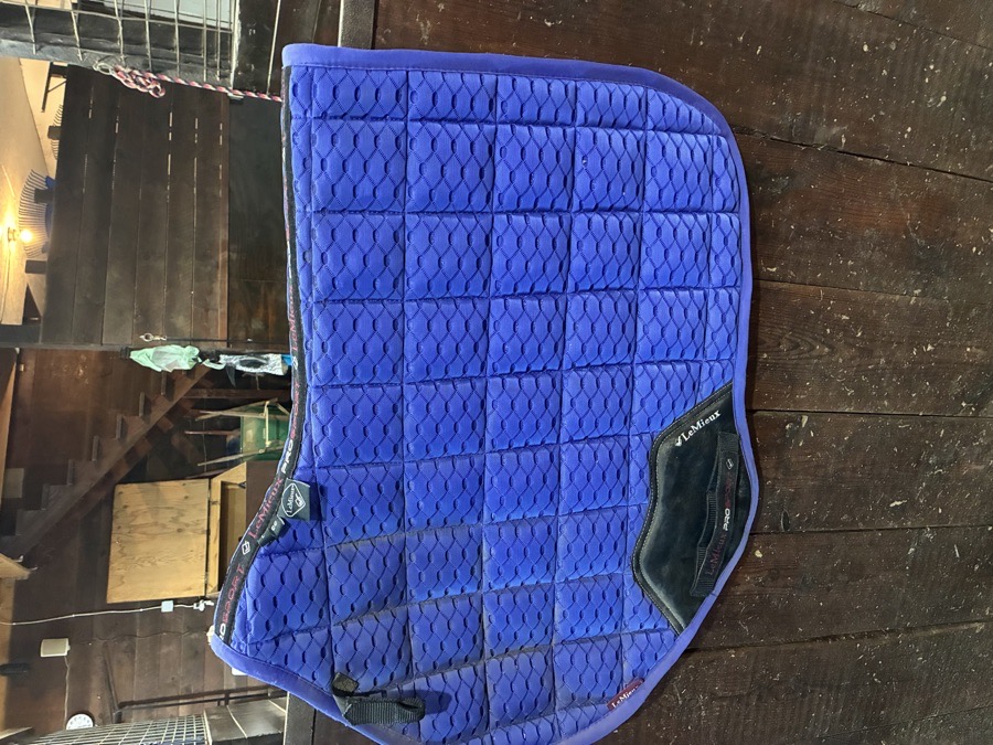 LEMIEUX CC carbon mesh saddle pad