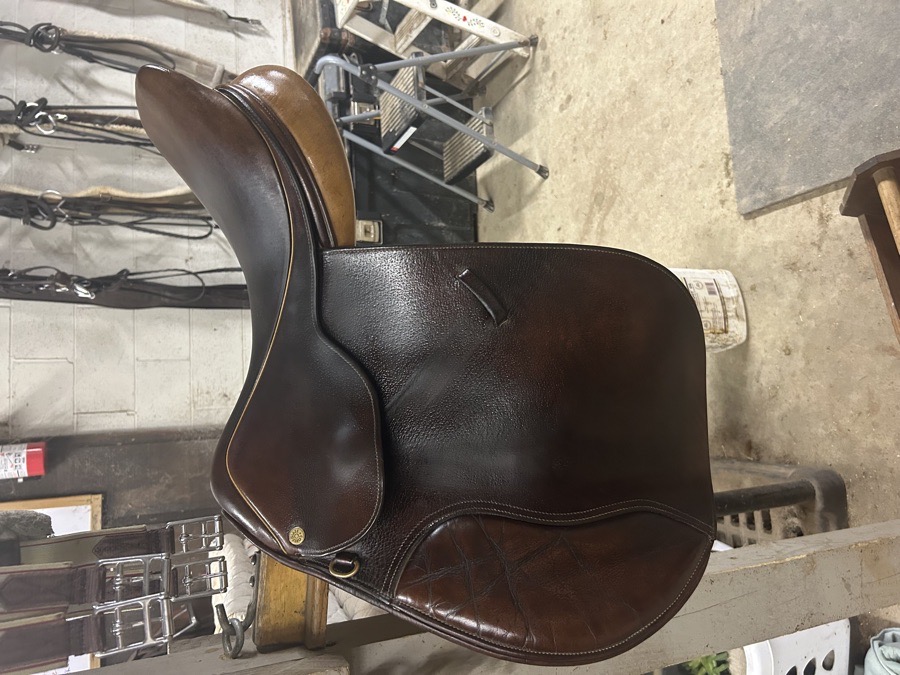 Collegiate 17.5” Saddle