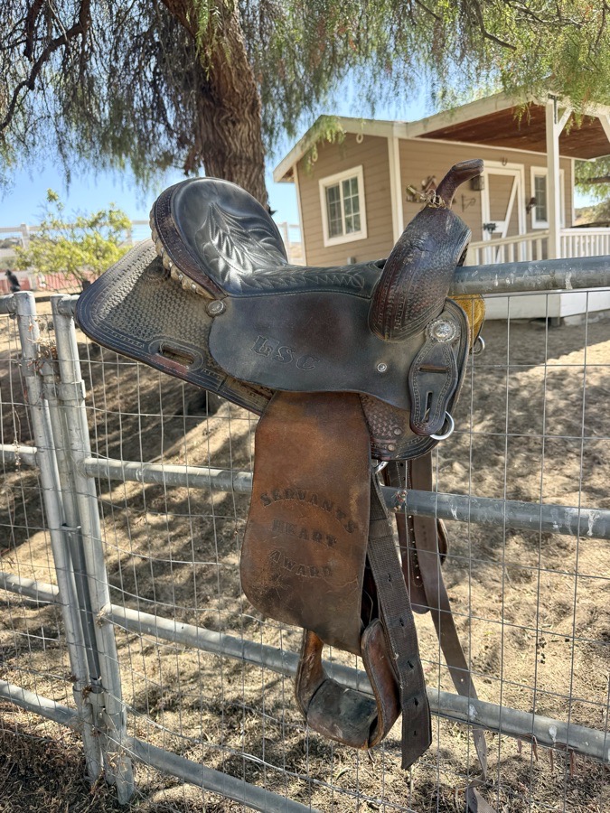 DOVER SADDLERY | 15" | 7" Tree Size | 2023