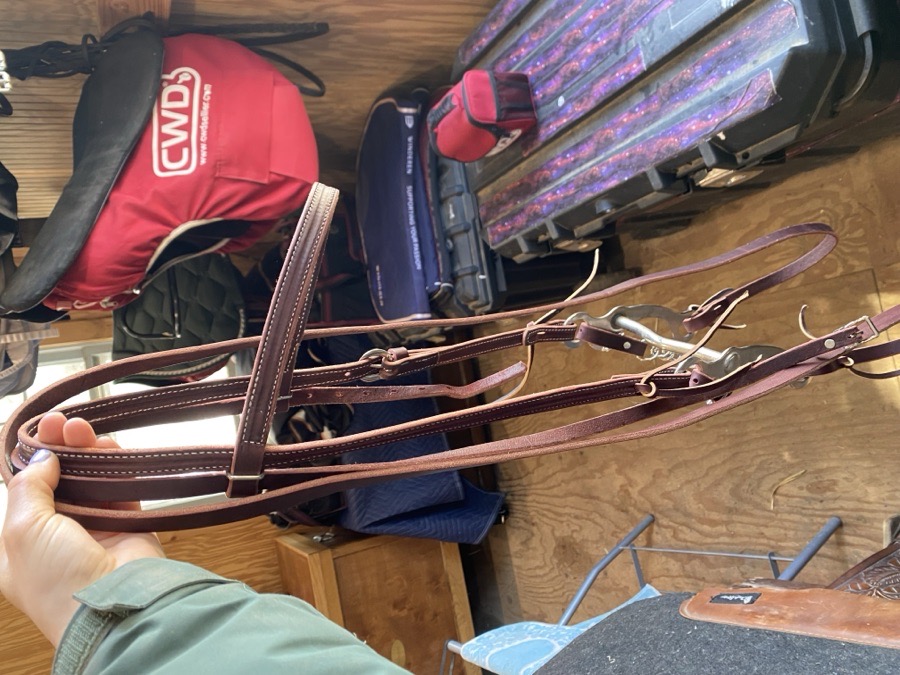 Weaver western bridle