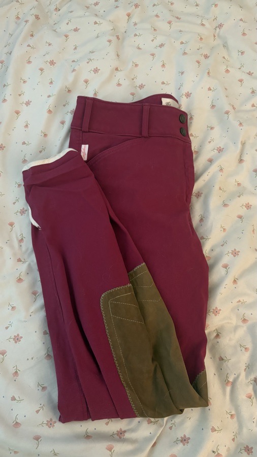 THE TAILORED SPORTSMAN Riding Pants - Breeches