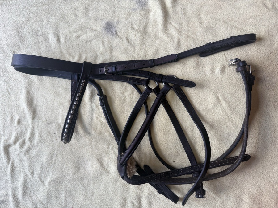 BOBBY'S ENGLISH TACK figure 8 bridle