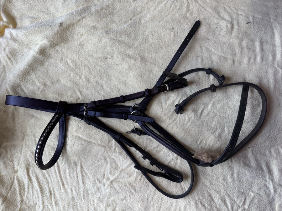 BOBBY'S ENGLISH TACK figure 8 bridle
